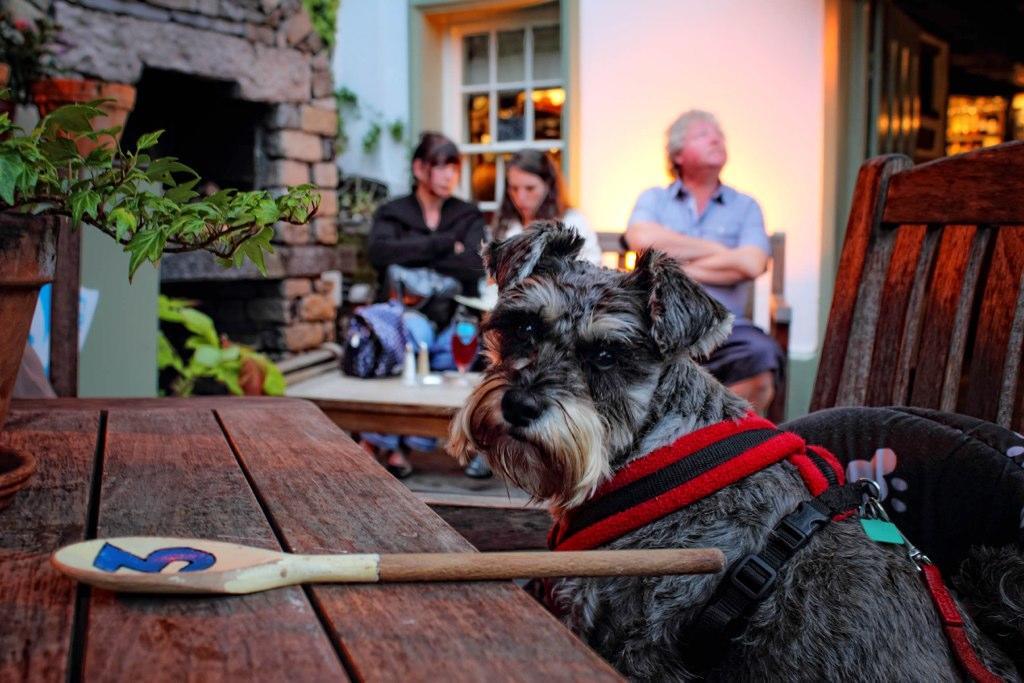 Mason'S Arms Hotel Bowland Bridge Екстериор снимка